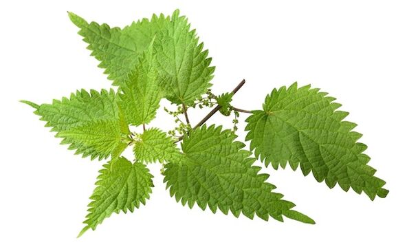 Prostovit receives nettle extract